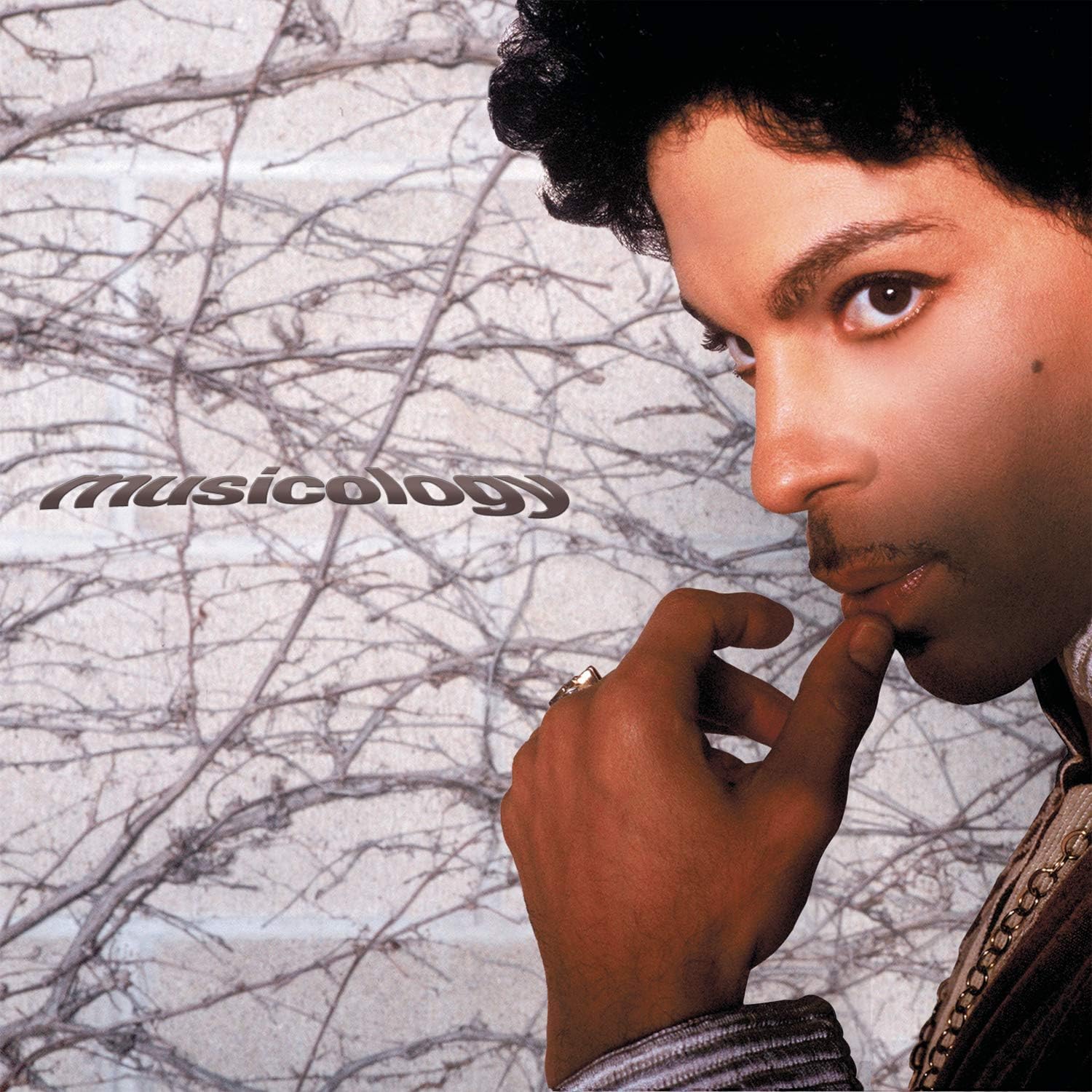 Image of Artwork for Prince's Musicology (CD)